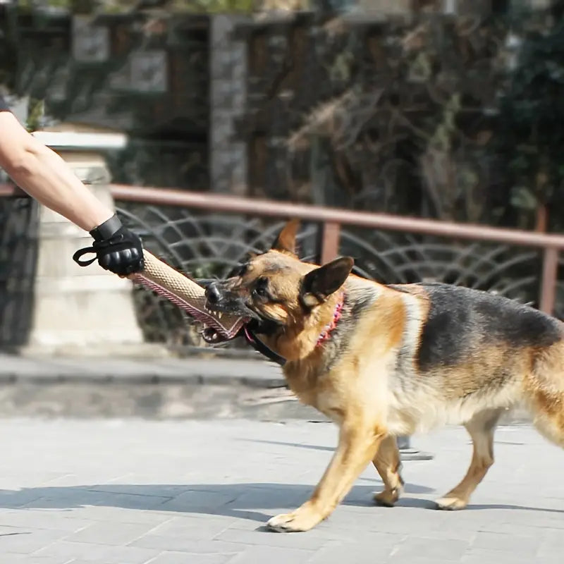 Strapazierfähiges Hundekauspielzeug mit Doppelgriffen