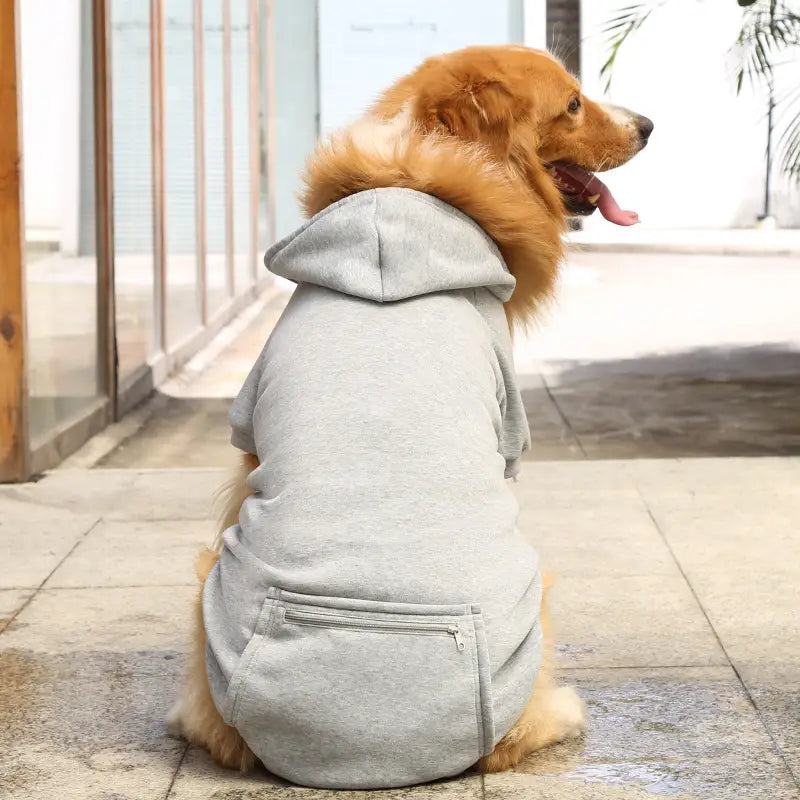 Winter-Hunde-Hoodie - Warm & Stylisch!