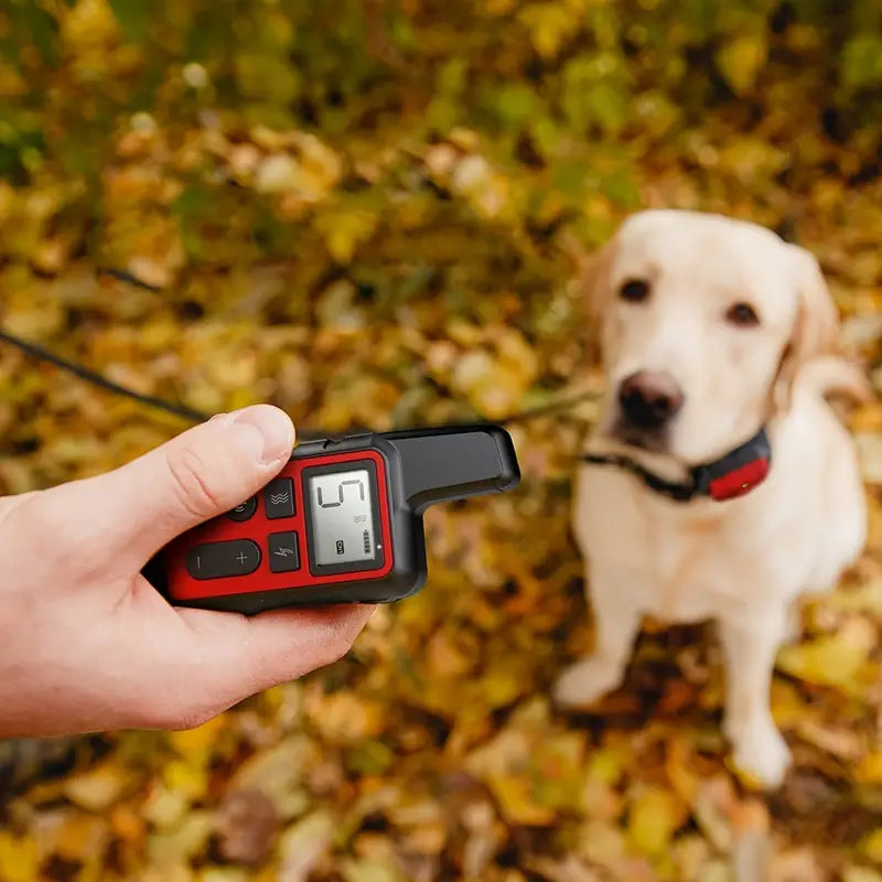 Fernbedienungs-Hundehalsband - Anti-Bell & Training