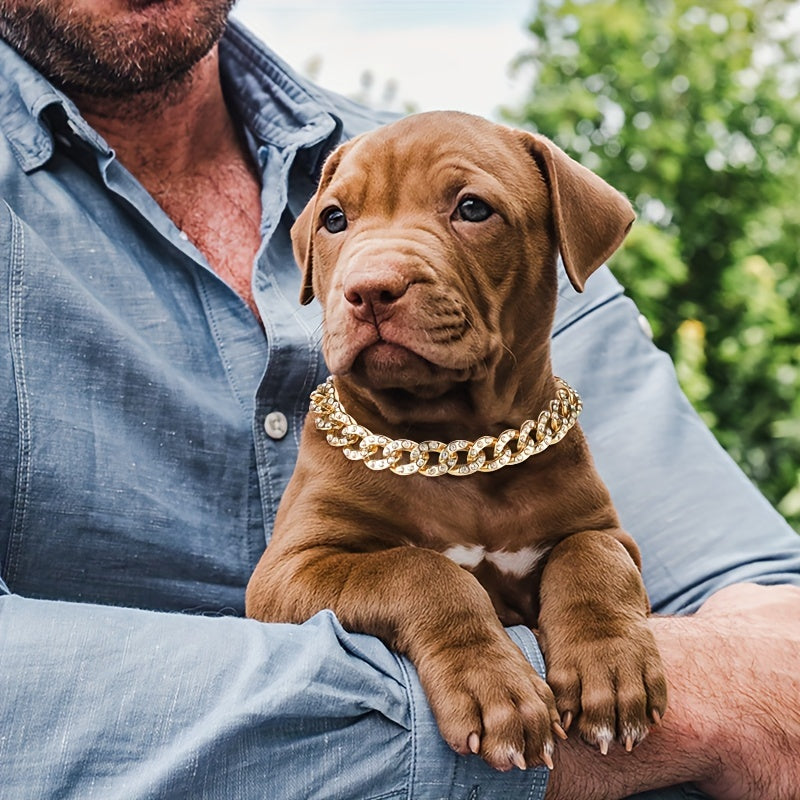 GoldGlanz - Verstellbare Hunde-Halskette