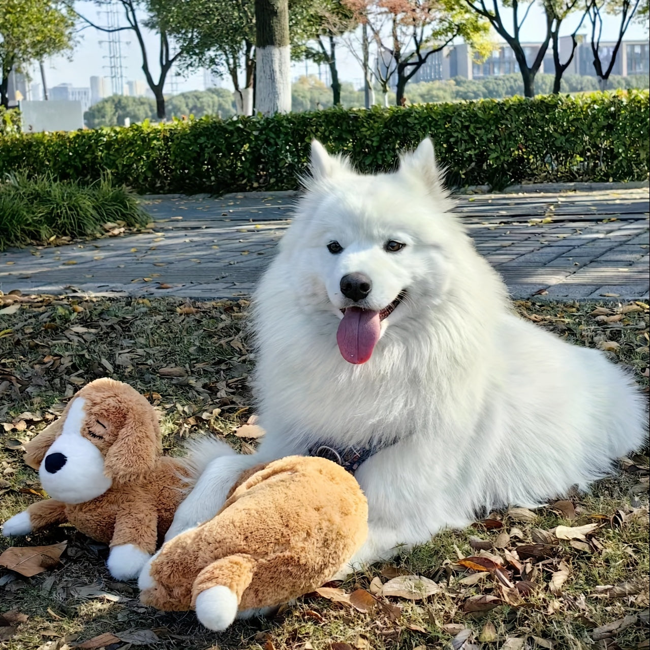 CalmBuddy Herzschlag-Welpen-Plüschspielzeug