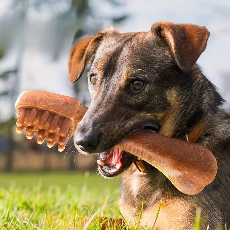 10x Hundezahnsticks - Training für große Hunde