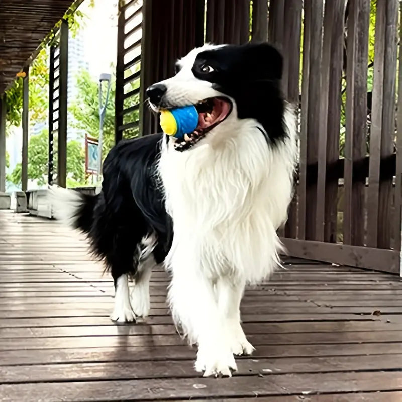 Interaktiver Quietsch-Ball für Welpen - Zahnreinigung & Spaß!