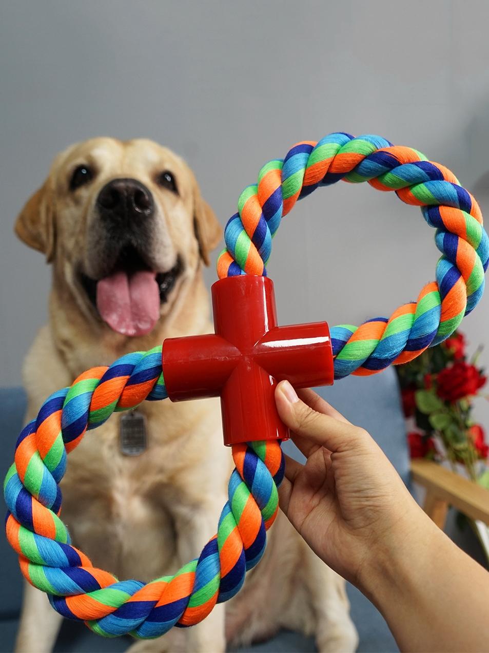 Zahnfestes Tau - Blaugrünes Hundespielzeug