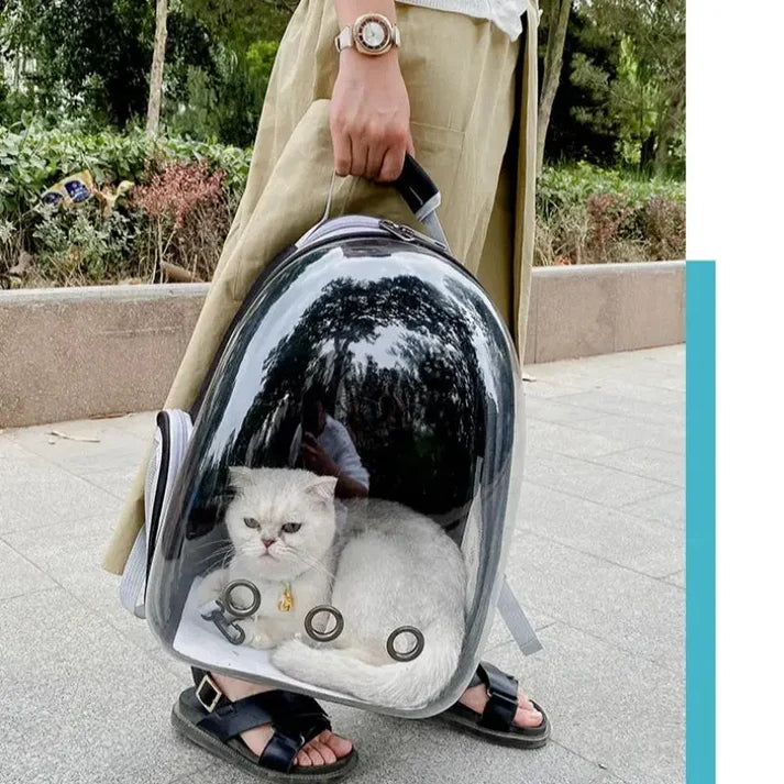 Ausklappbarer Katzen/Hunde Rucksack