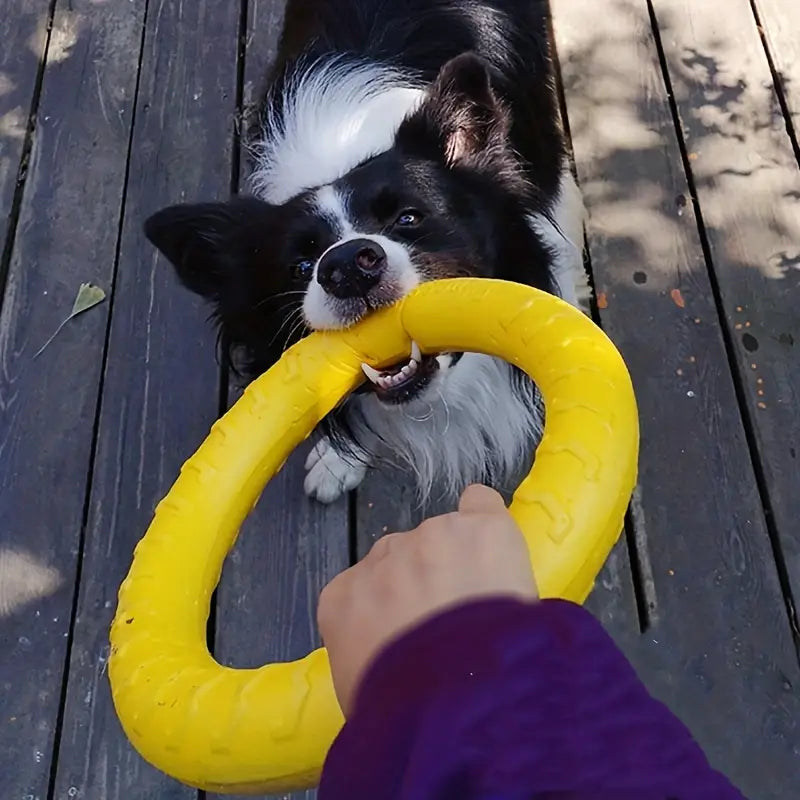 Strapazierfähige Hundewurfscheibe