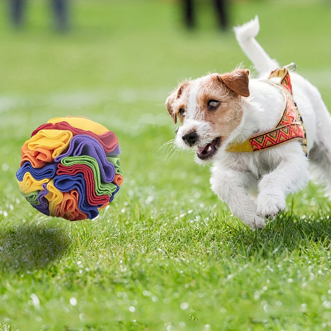 Schnüffelball Interaktives Hundespielzeug