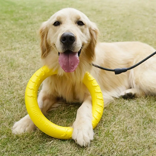 Strapazierfähige Hundewurfscheibe