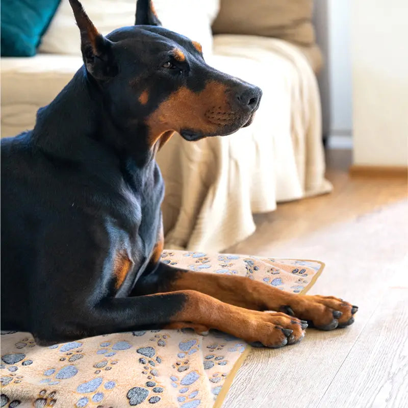 3er-Pack Pfotenabdruck-Decken - Waschbar & Perfekt für Großtiere!