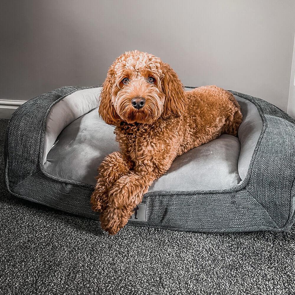 FürstenSofa - Luxus Memory Foam Hundebett Grau Groß