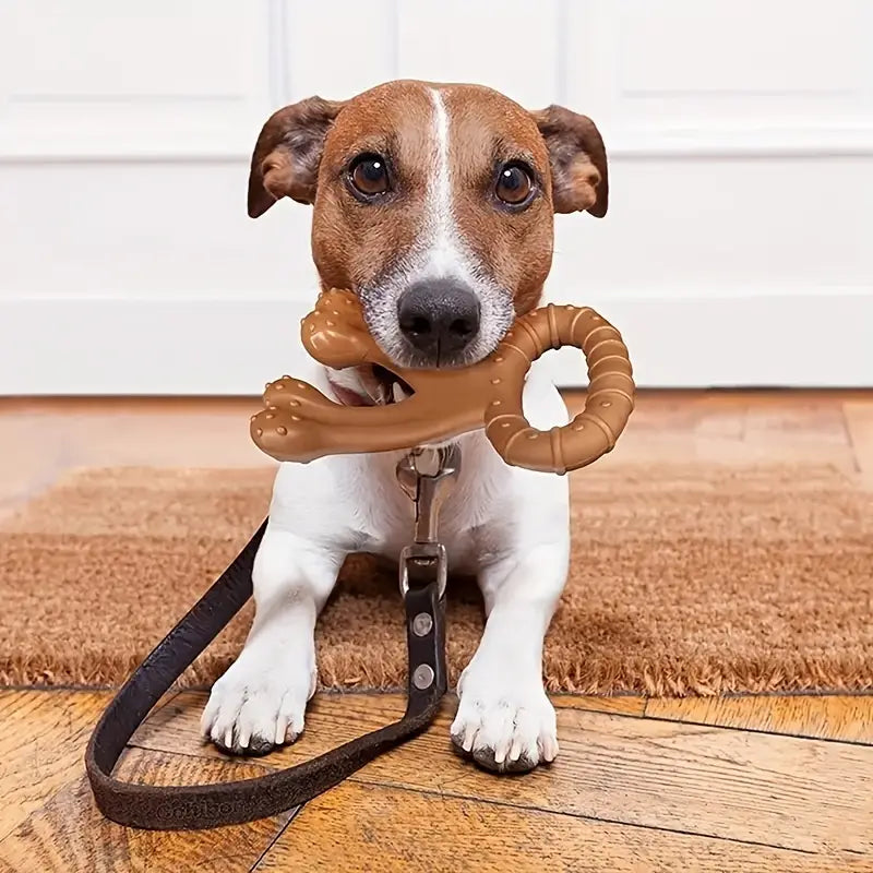 Robuste Hundespielzeuge für Große