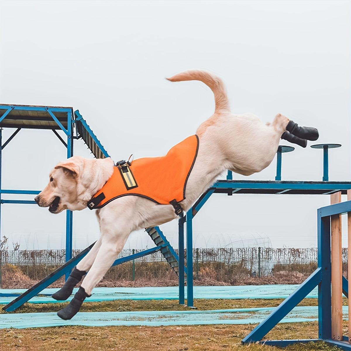 Pfotenschutz Plus - Schwarze Hundeschuhe