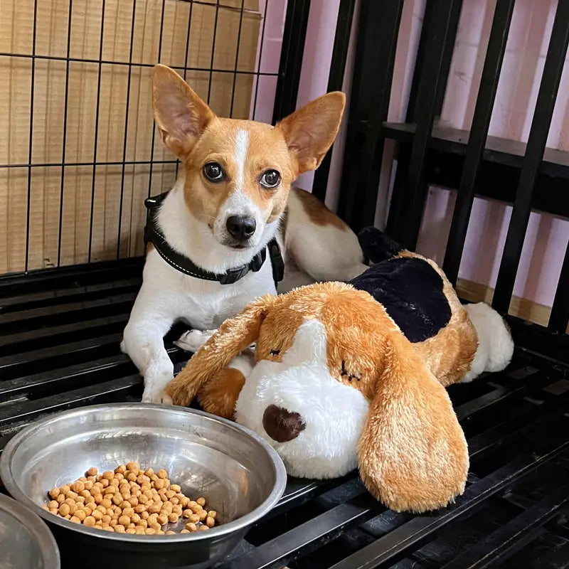 Hund Plüschtier Kuschelkissen Interaktives Haustier