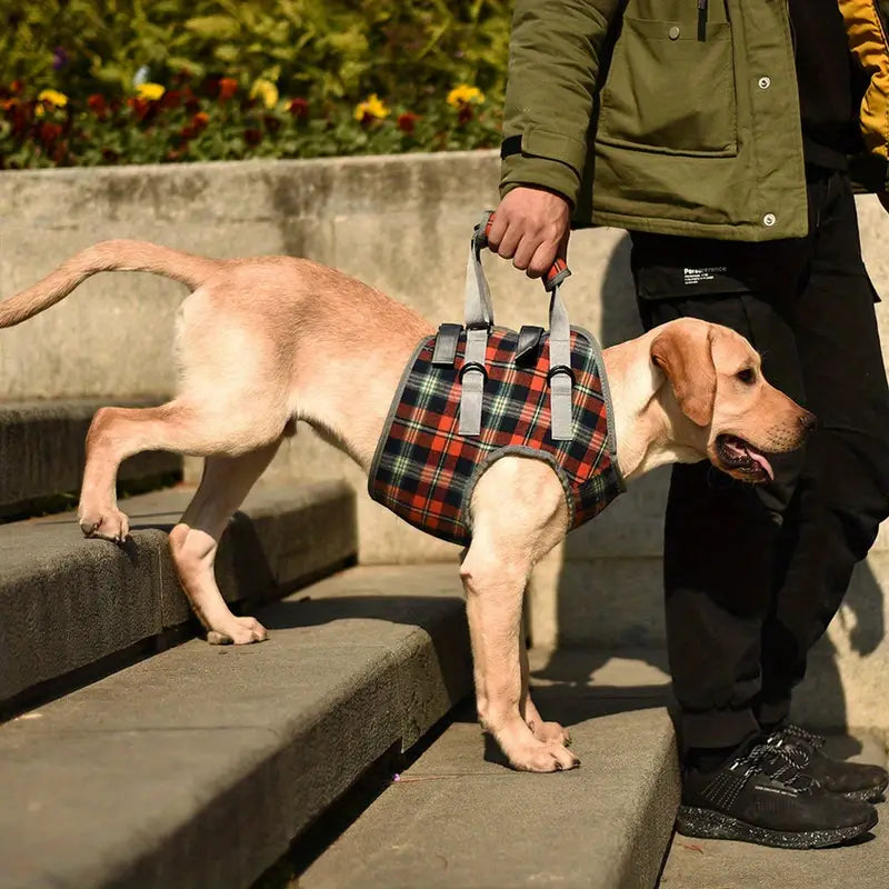 Hunde-Beinhebelschlinge & Unterstützungsgurt