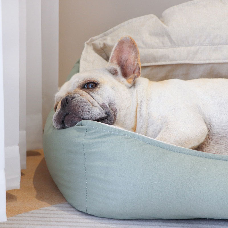 Grünes Großes Kuschelbett