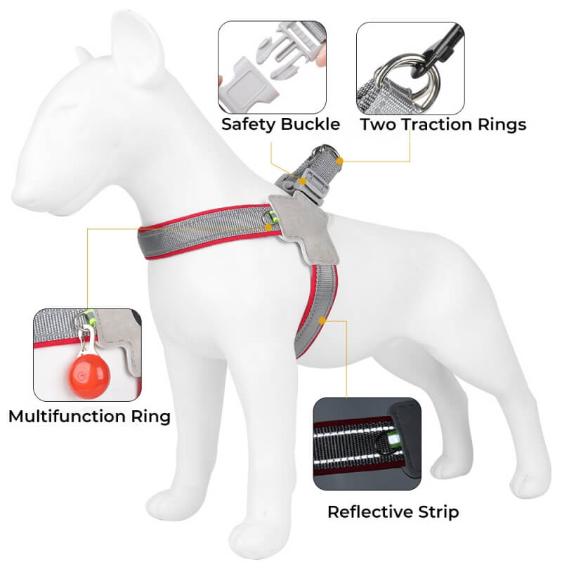 Rotes Hundegeschirr FlexiFit