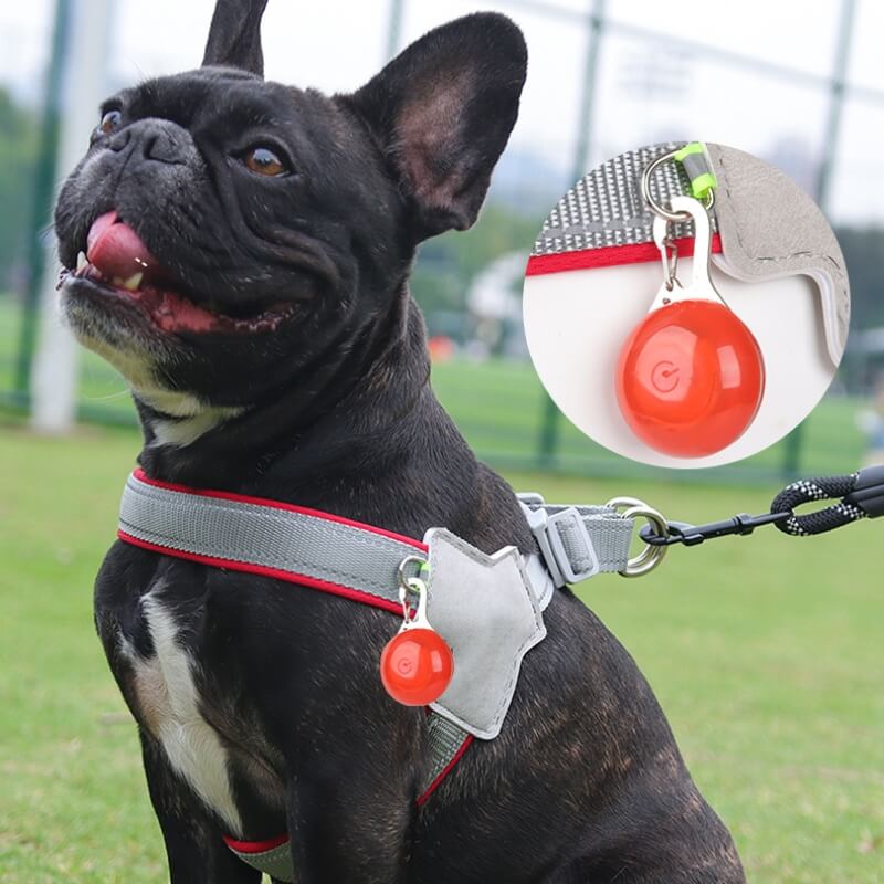 Rotes Hundegeschirr FlexiFit