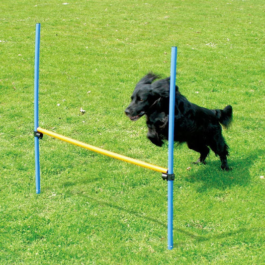 AgiliFun - Hürdenstarter-Set für Hunde