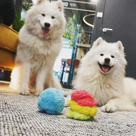 JoyBall: Aktiver Anti-Stress Spielball für Hunde - 4 Wechselhüllen