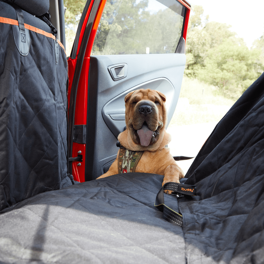 Autositzbezug für Hunde mit Mesh-Fenster und Hängematte