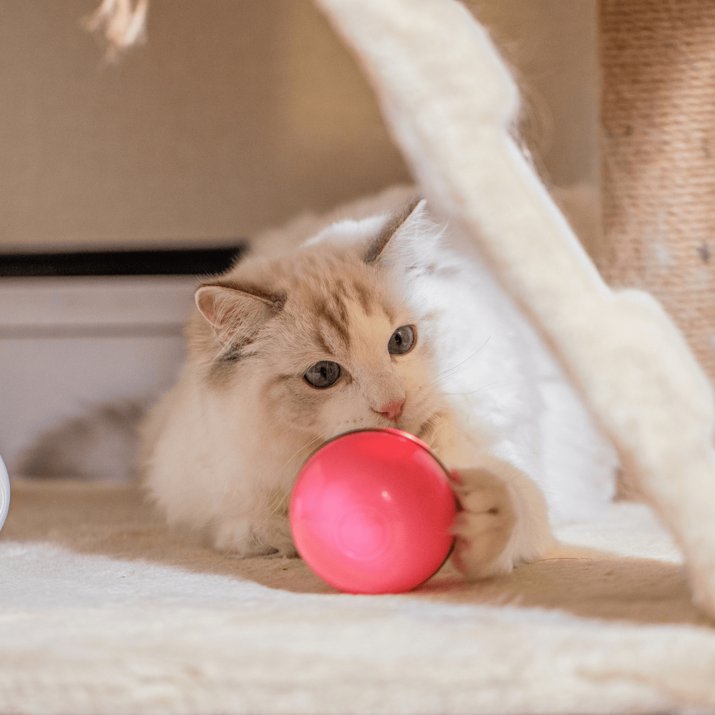 Automatisches LED-Bewegungsballspielzeug für Hunde und Katzen