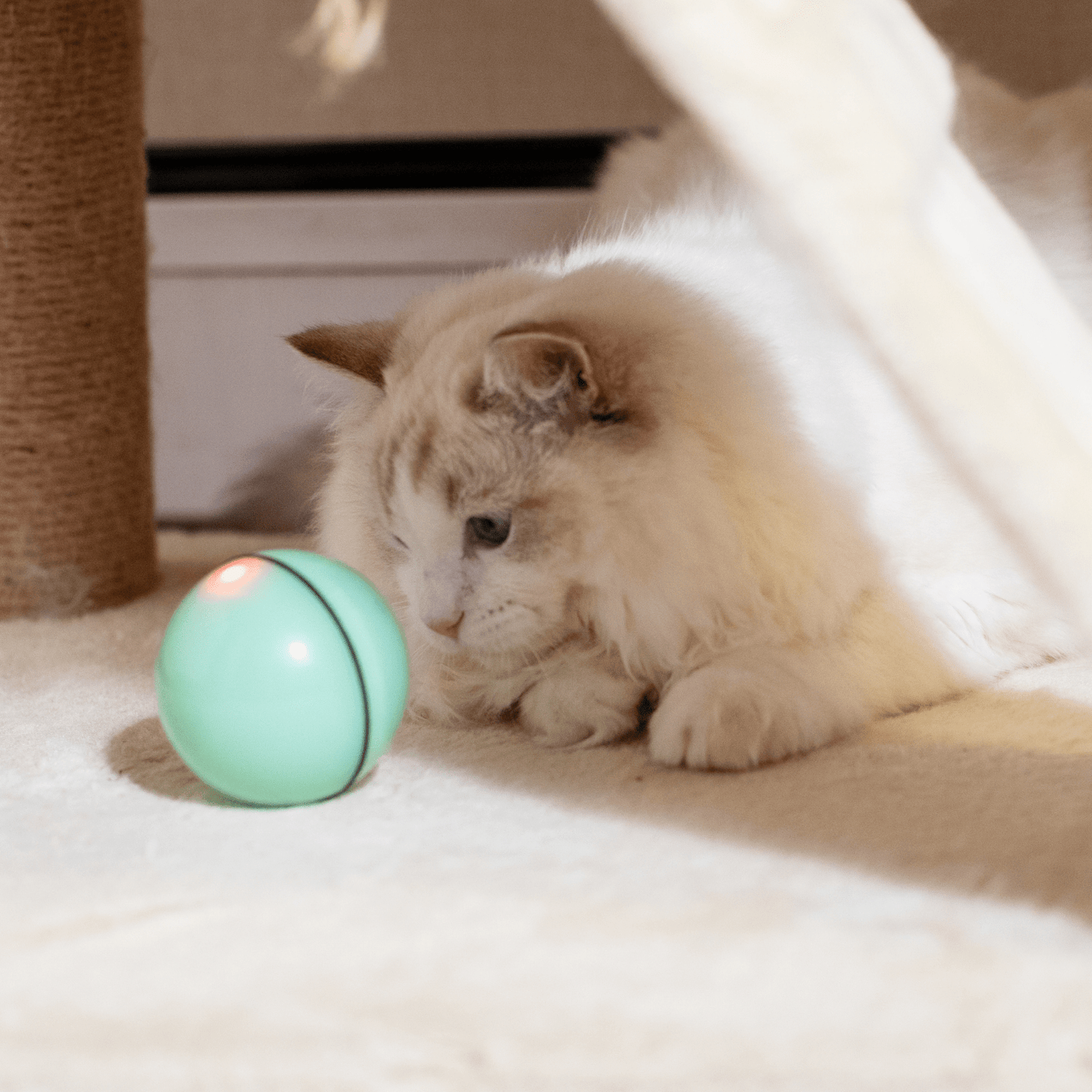 Automatisches LED-Bewegungsballspielzeug für Hunde und Katzen