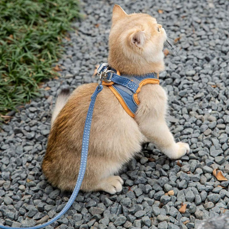 Reflektierendes Katzen-Geschirr