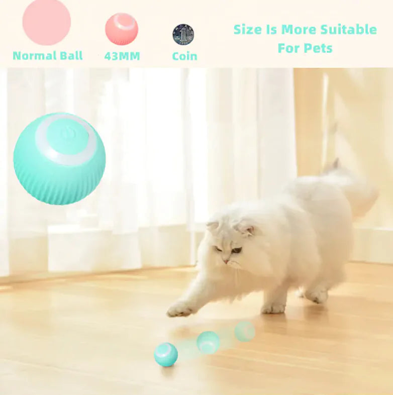 Interaktiver Spaß: Smart Cat Ball - Bewegung & Spiel