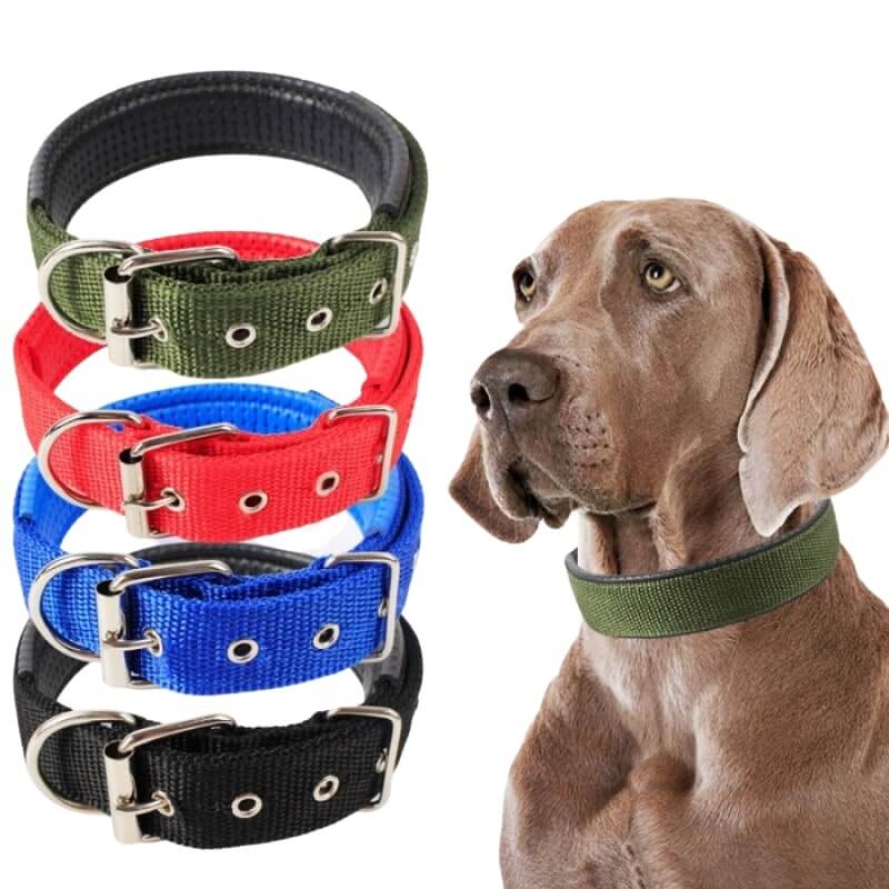 Furryfeet - Anpassbares Hundehalsband