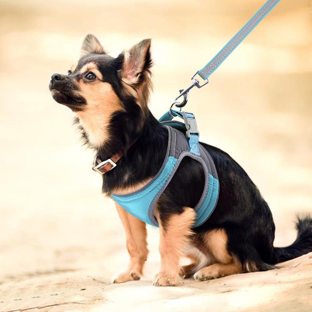 WeichGeschirr - Blaues Hundegeschirr mit Leine