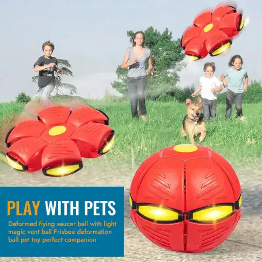 Interaktiver Spaß: Pet Flying Saucer Ball!