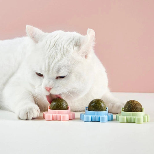 Perfekter Drehbarer Katzenminze-Ball: Überall haftend, Überall drehbar!