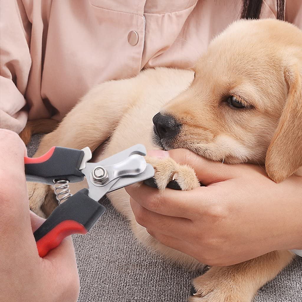 Nagelfeile - Extra scharfe Klingen - Perfekt für die Reinigung und Schönheitspflege von Hunden - Groß für Haustiere