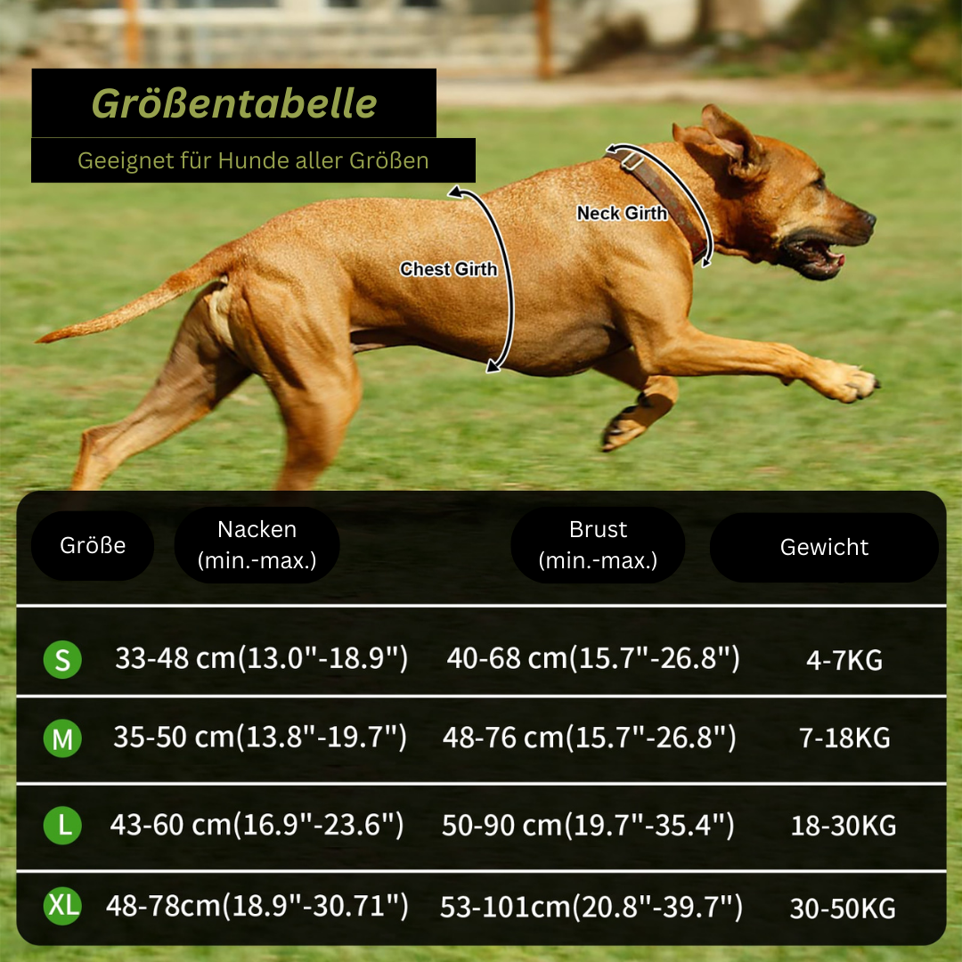 Masbrill verstellbares reflektierendes Hundegeschirr - Komfort und Sicherheit für Spaziergänge