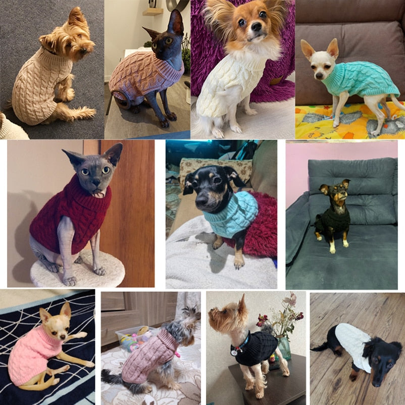 Warmer, kuscheliger Winter-Pullover mit Rollkragen - Hundebekleidung für kleine bis mittlere Rassen - flauschige Weste, weicher Mantel und wärmende Jacke in Einem